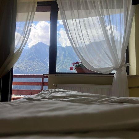 Vila Alunis Buşteni エクステリア 写真