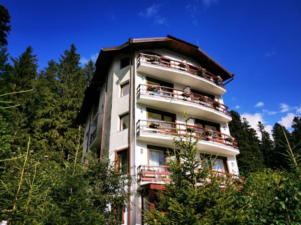 Vila Alunis Buşteni エクステリア 写真