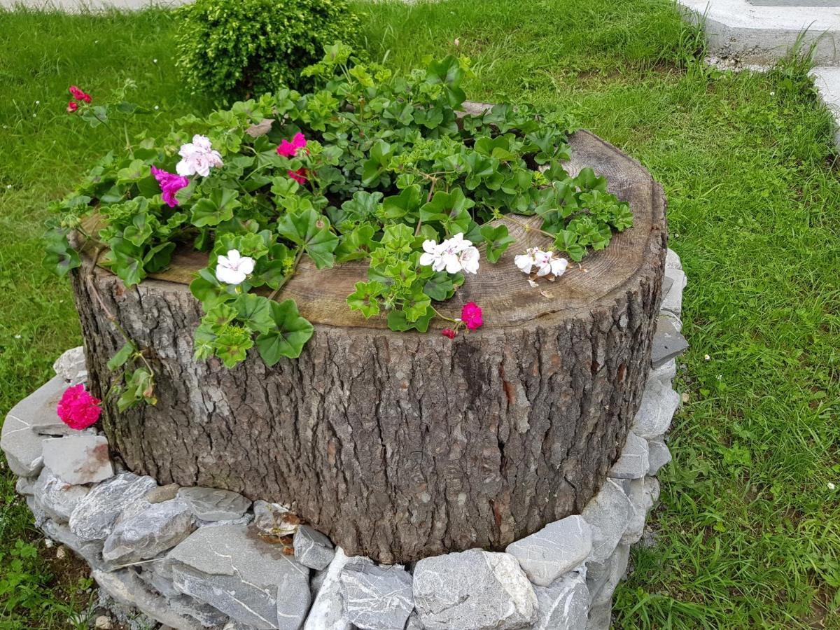 Vila Alunis Buşteni エクステリア 写真
