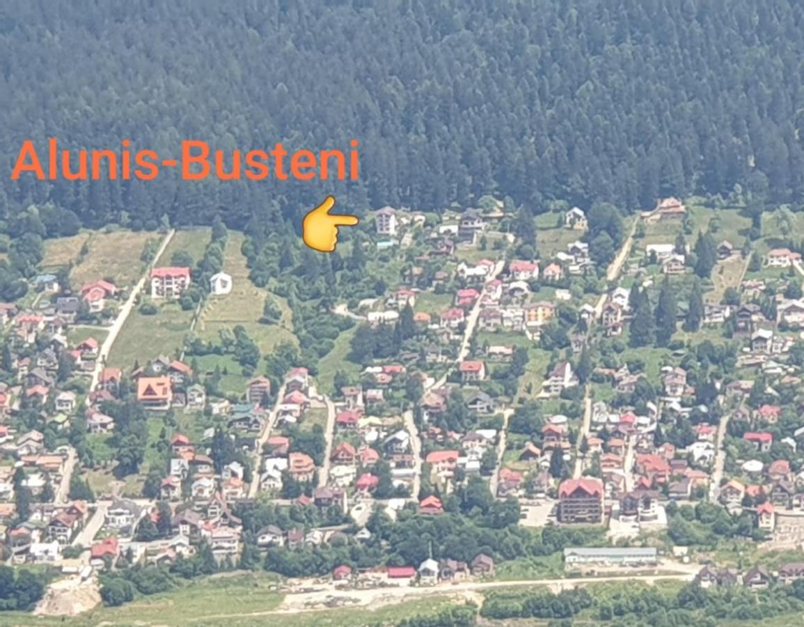 Vila Alunis Buşteni エクステリア 写真