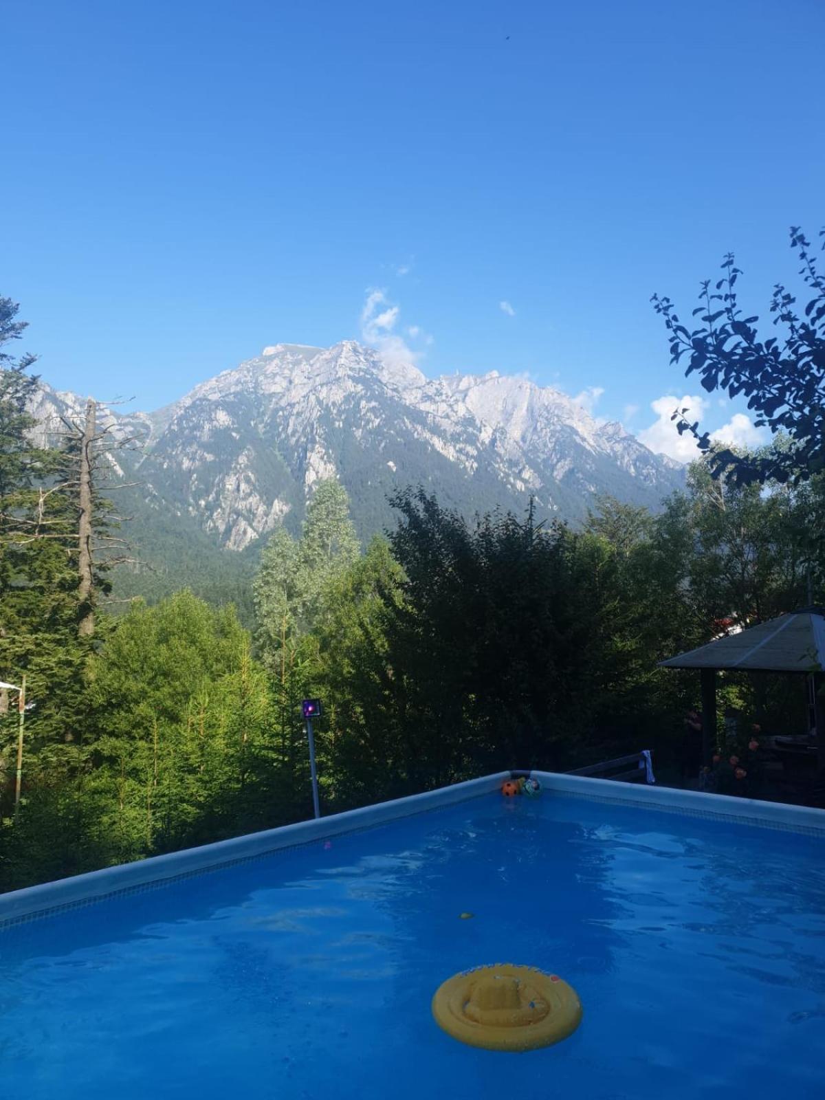 Vila Alunis Buşteni エクステリア 写真
