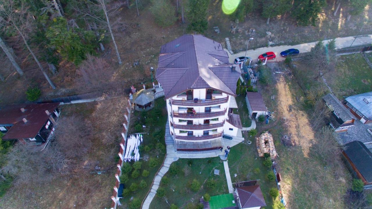 Vila Alunis Buşteni エクステリア 写真