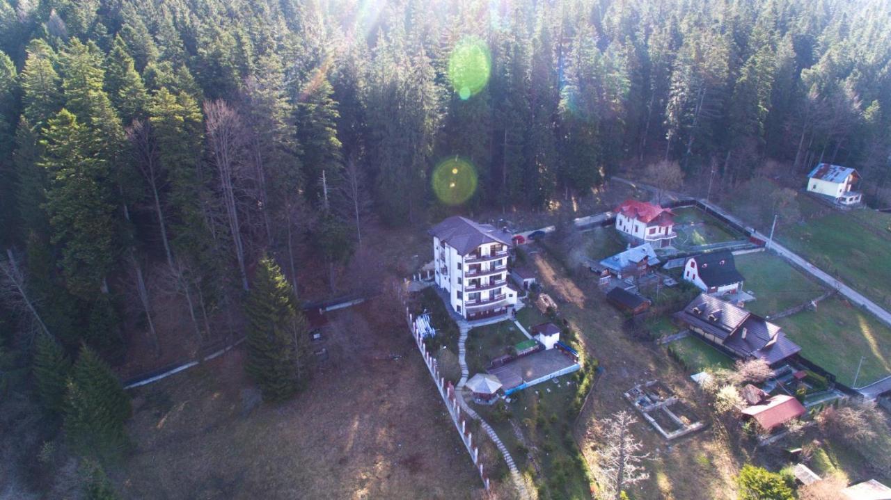 Vila Alunis Buşteni エクステリア 写真