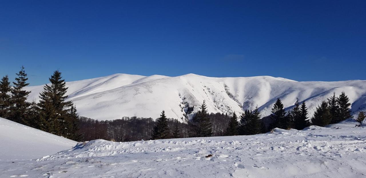 Vila Alunis Buşteni エクステリア 写真