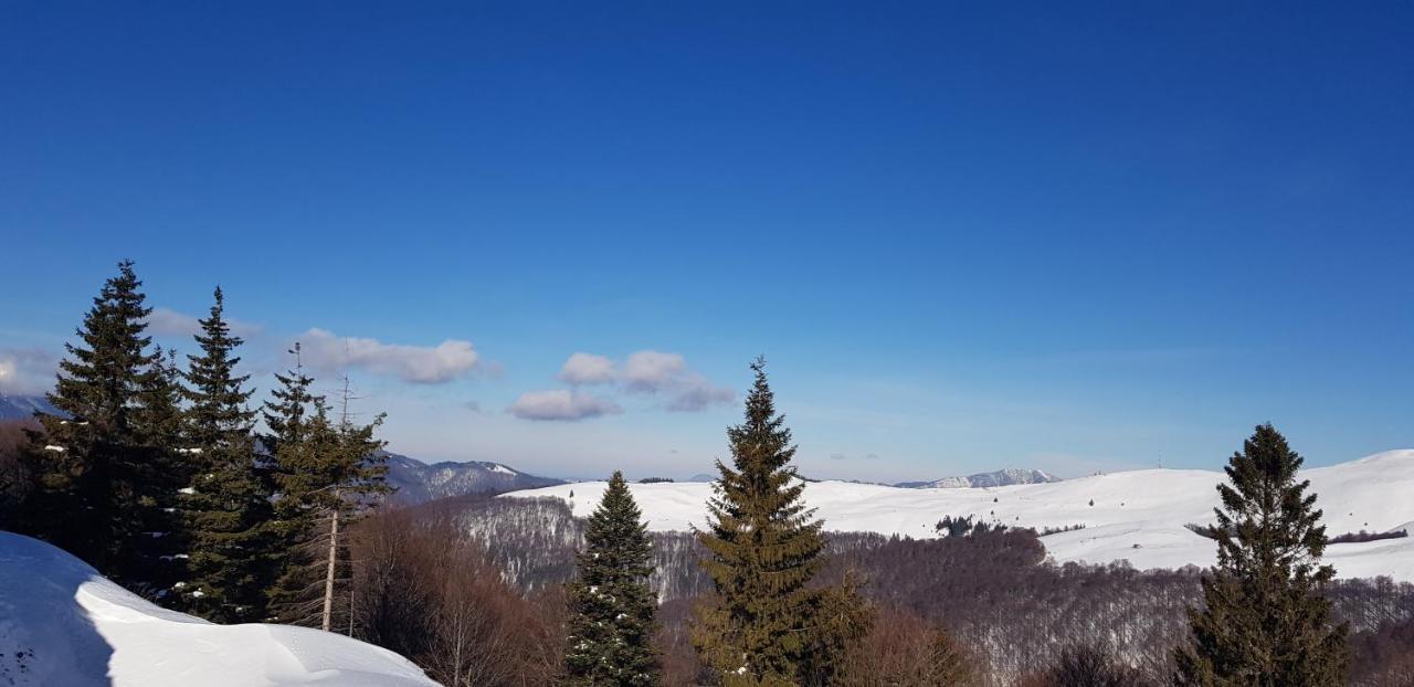 Vila Alunis Buşteni エクステリア 写真