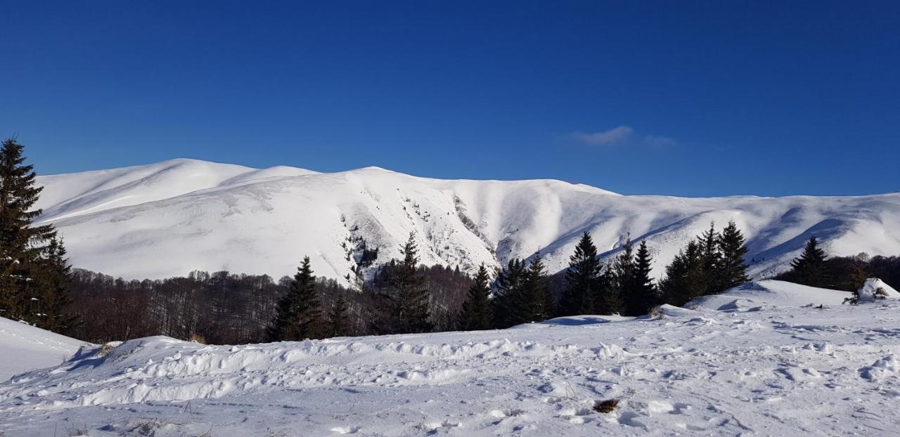 Vila Alunis Buşteni エクステリア 写真