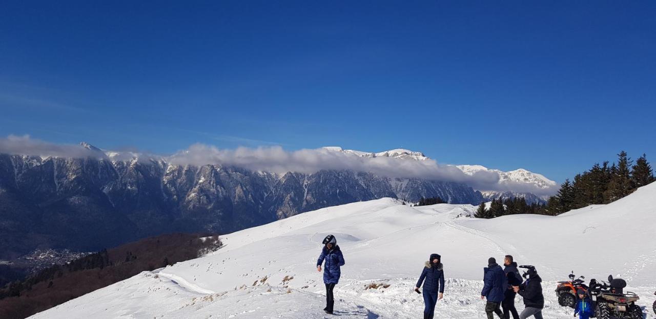 Vila Alunis Buşteni エクステリア 写真