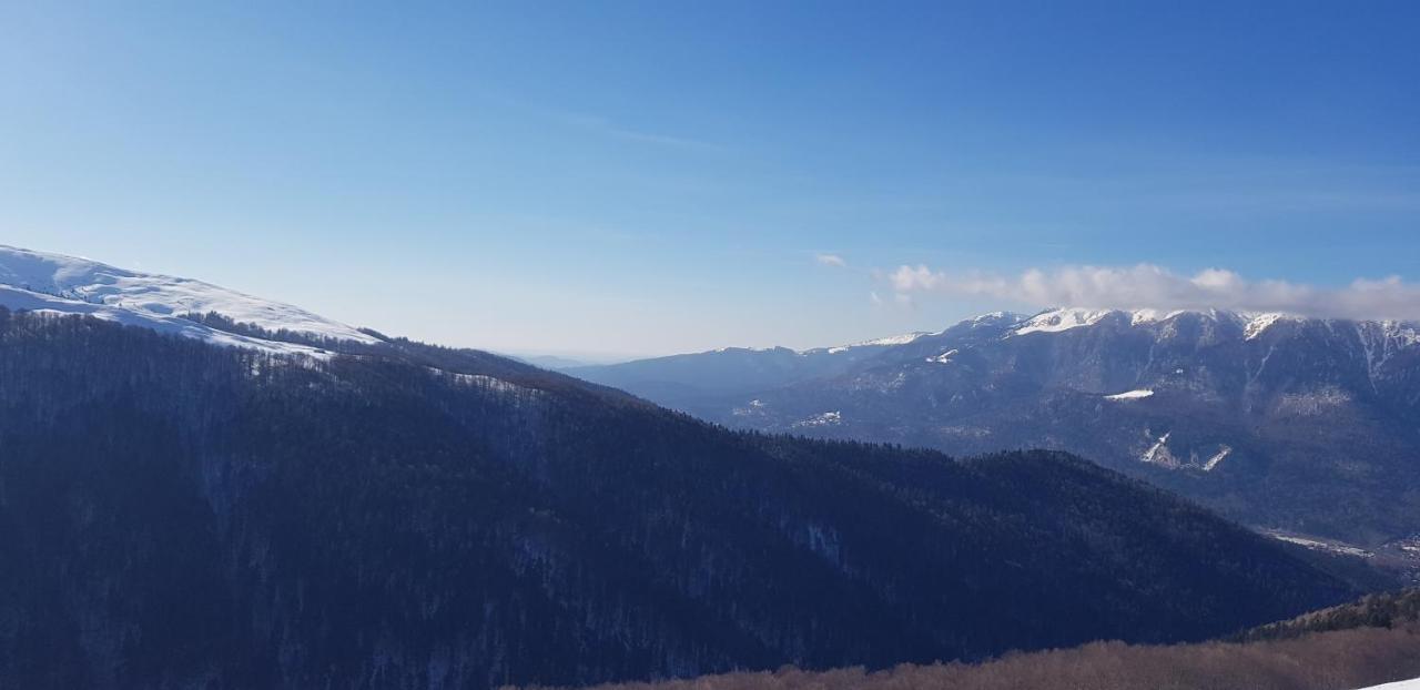 Vila Alunis Buşteni エクステリア 写真