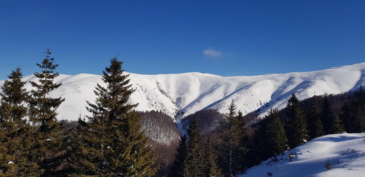Vila Alunis Buşteni エクステリア 写真