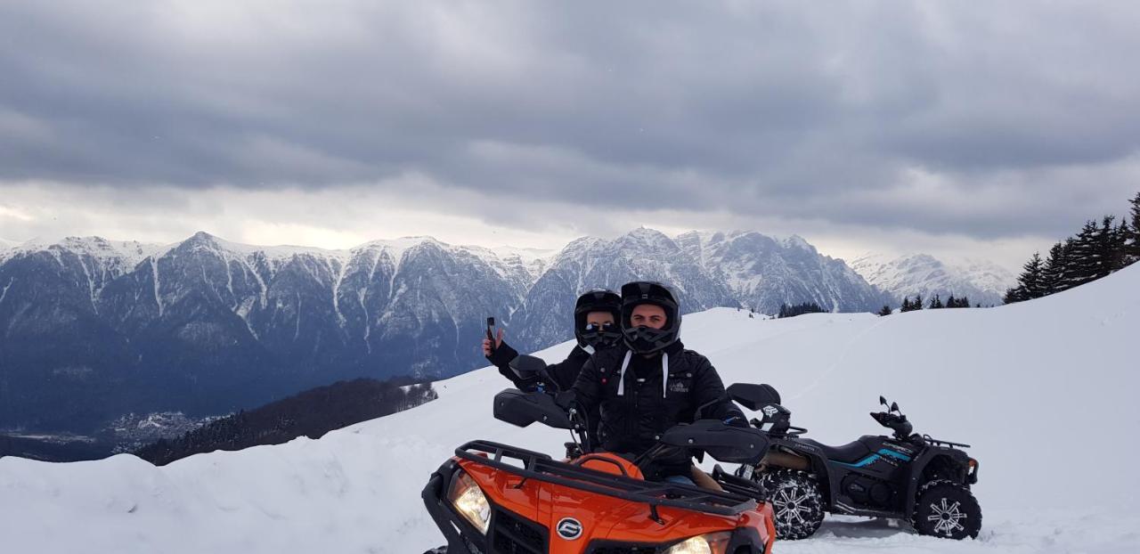 Vila Alunis Buşteni エクステリア 写真