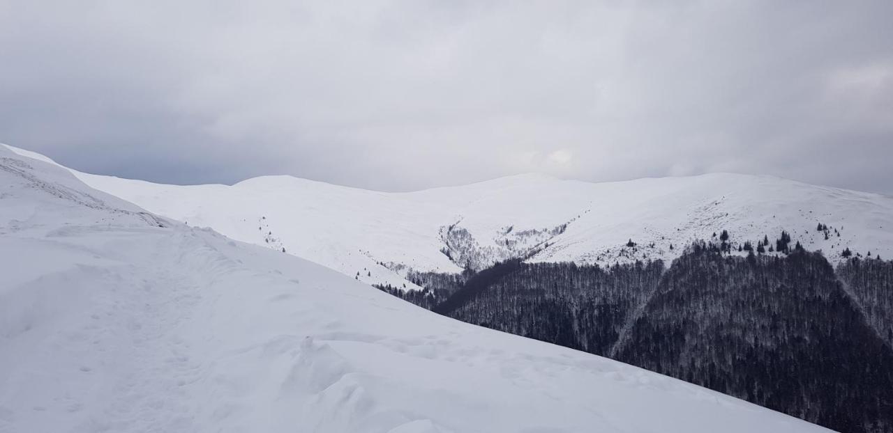 Vila Alunis Buşteni エクステリア 写真