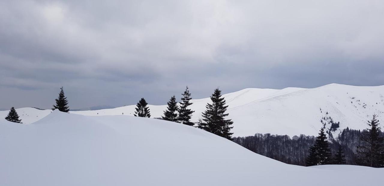 Vila Alunis Buşteni エクステリア 写真