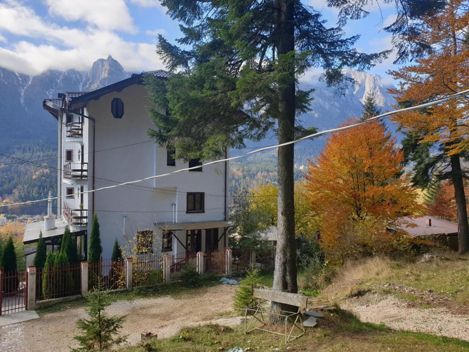 Vila Alunis Buşteni 部屋 写真