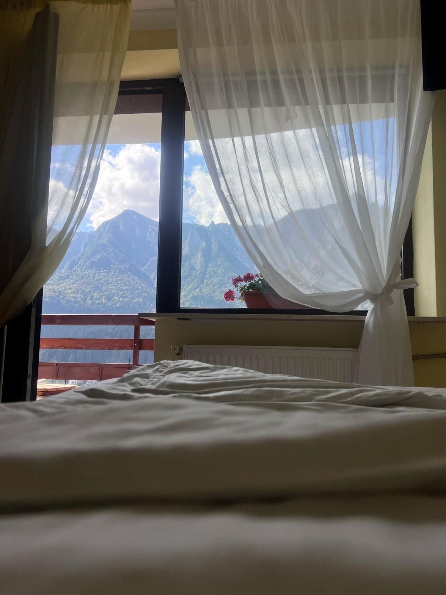 Vila Alunis Buşteni エクステリア 写真